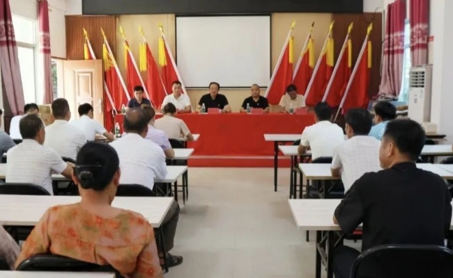 踐初心擔(dān)使命——海南咨詢(xún)集團(tuán)開(kāi)展系列迎“七一”主題黨日活動(dòng)